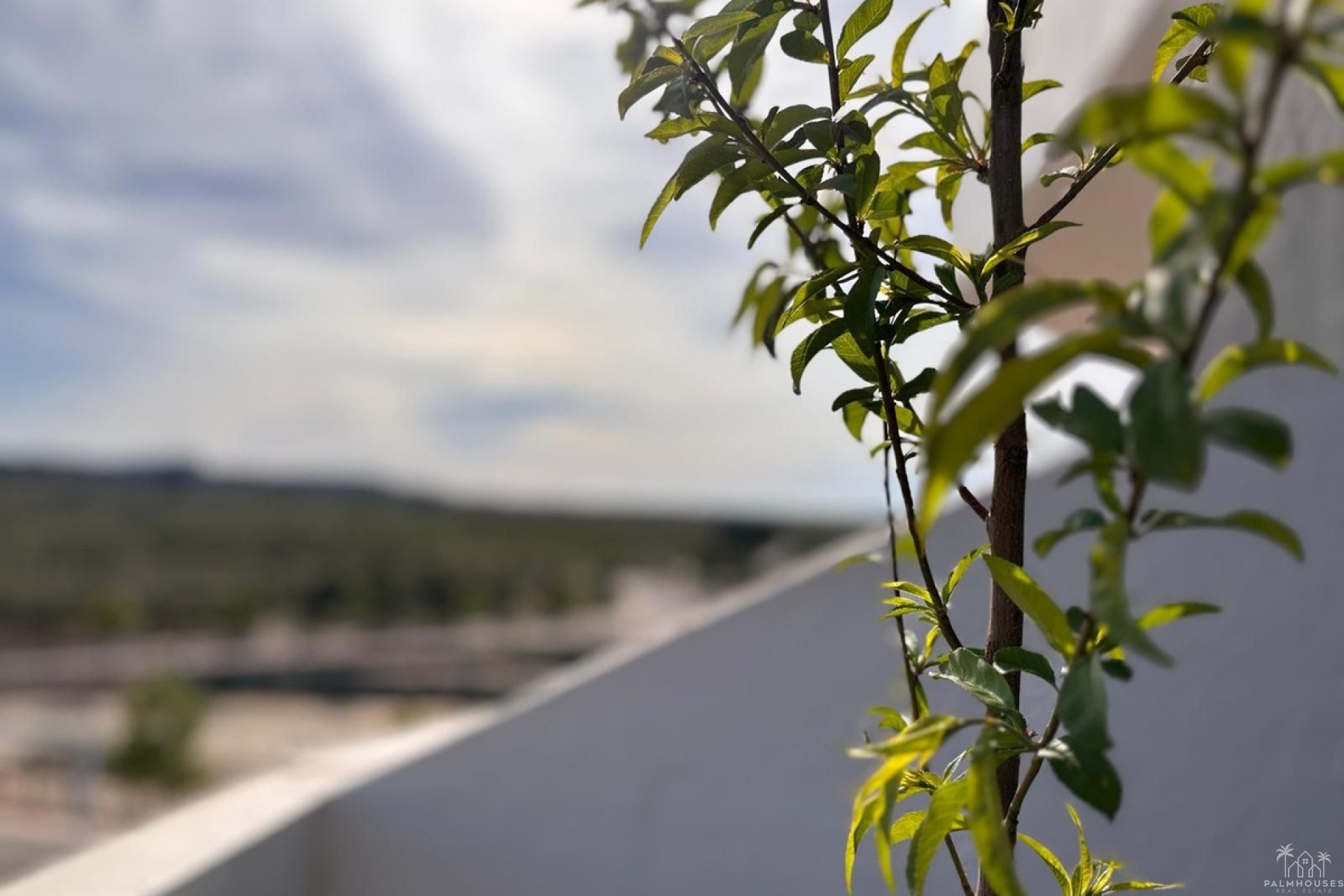 Revente - Apartment - San Miguel de Salinas - San Miguel de Salinas Centro