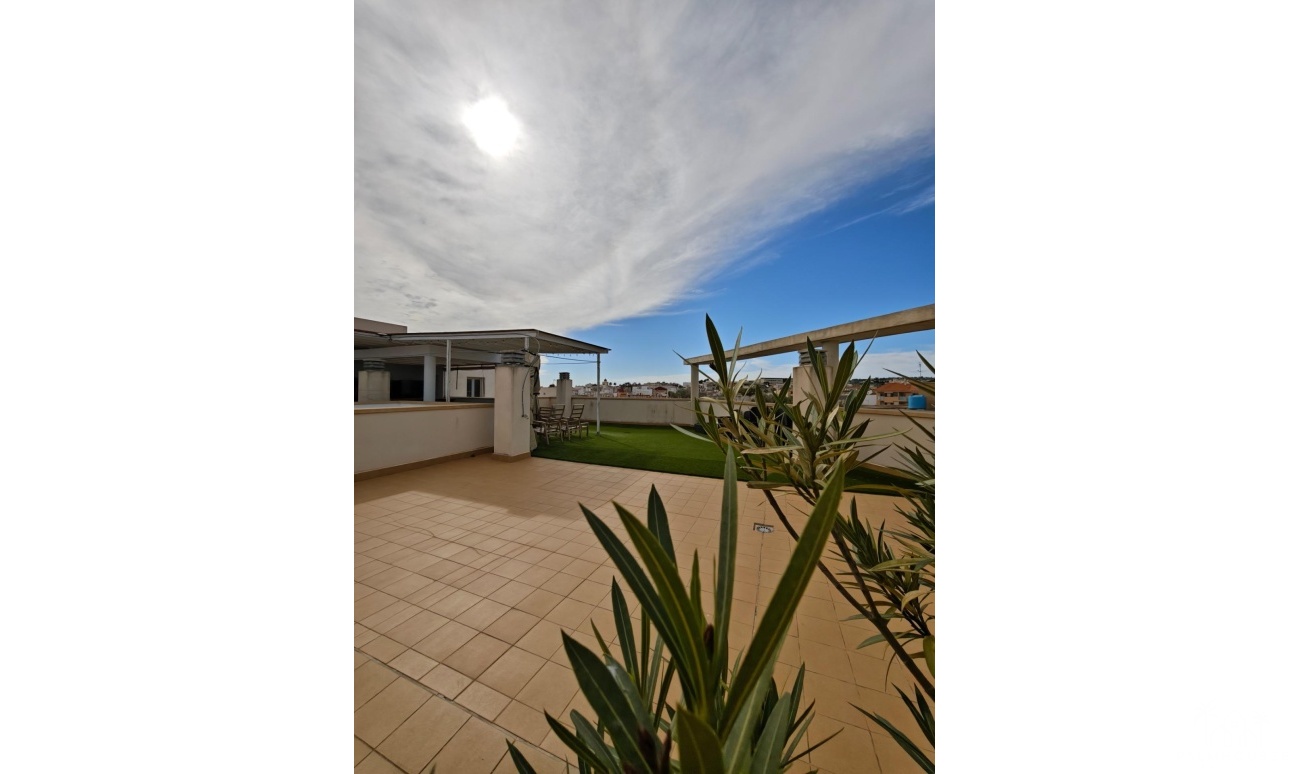Revente - Apartment - San Miguel de Salinas - San Miguel