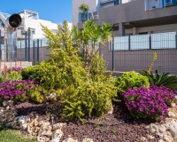 Revente - Apartment - Torrevieja - Aguas Nuevas