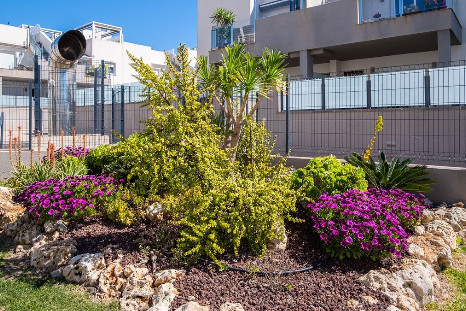 Revente - Apartment - Torrevieja - Aguas Nuevas