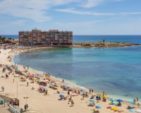 Revente - Apartment - Torrevieja - Antonio Machado