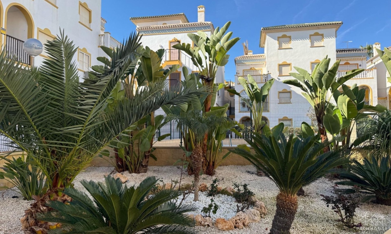 Revente - Apartment - Torrevieja - Cañada Del Molino