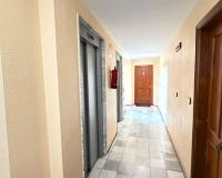 Revente - Apartment - Torrevieja - Centro - Muelle Pesquero
