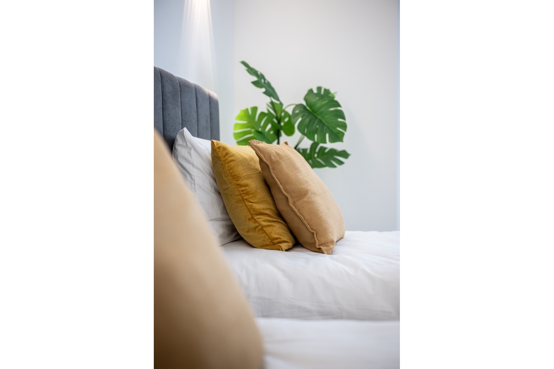 Revente - Apartment - Torrevieja - Costa Blanca