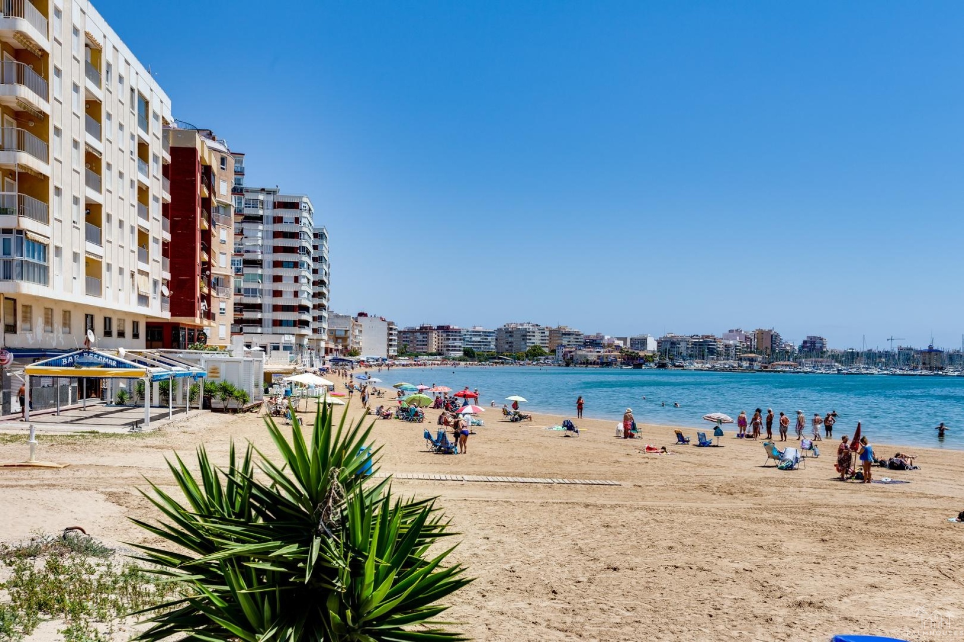 Revente - Apartment - Torrevieja - Costa Blanca
