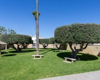 Revente - Apartment - Torrevieja - Costa Blanca