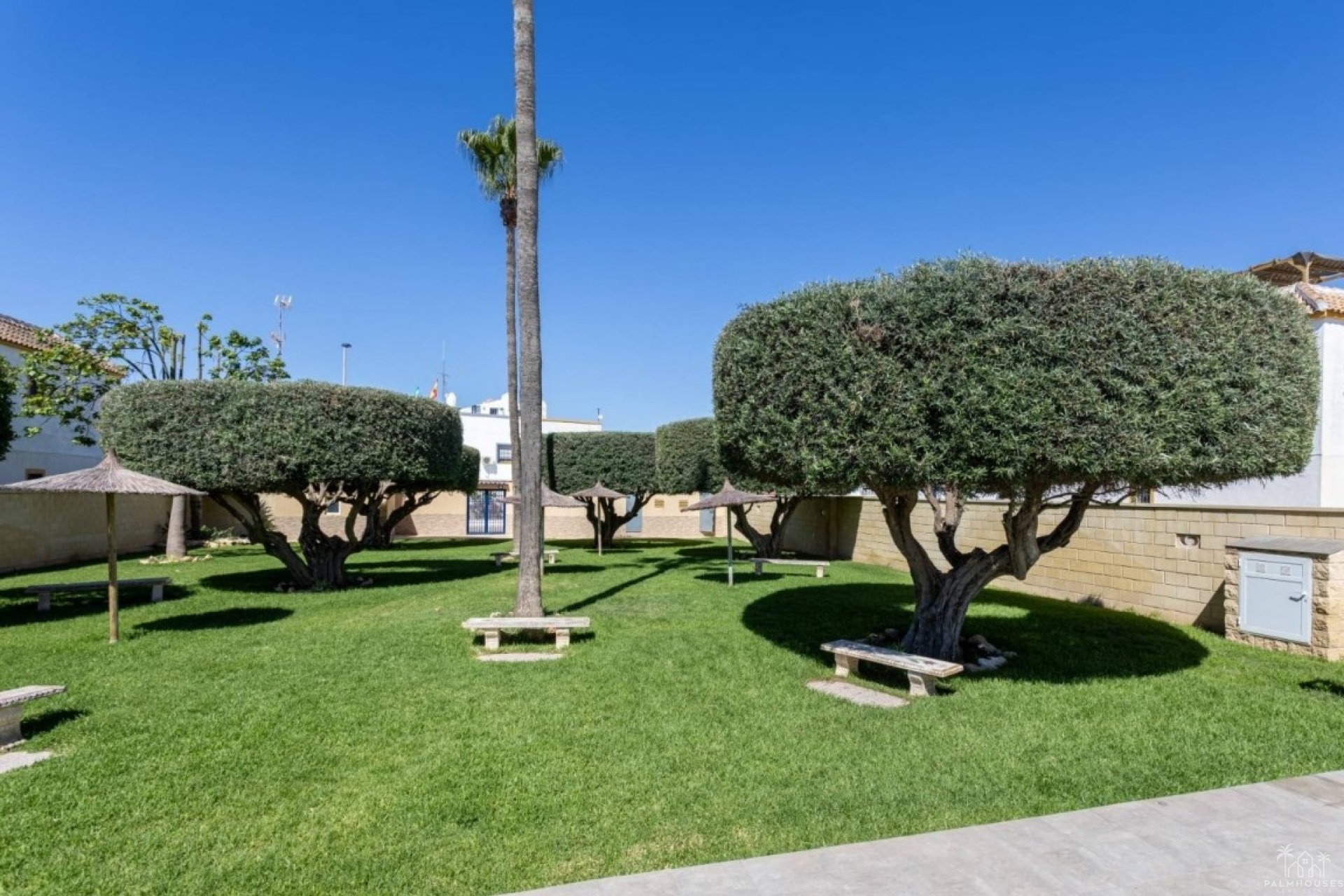 Revente - Apartment - Torrevieja - Costa Blanca