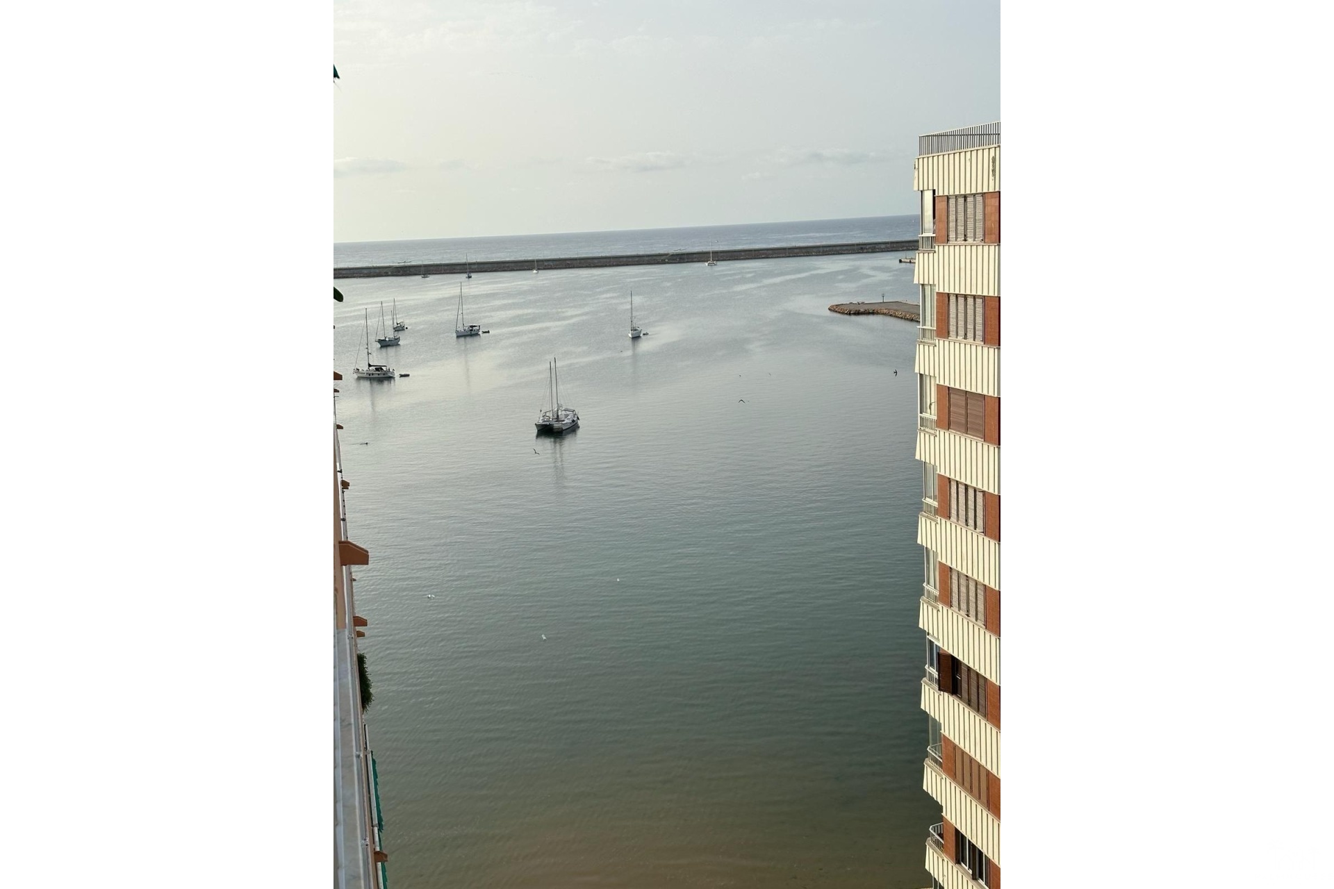 Revente - Apartment - Torrevieja - El Acequión - Los Náufragos