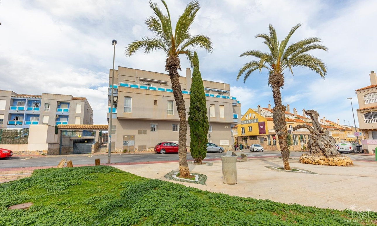 Revente - Apartment - Torrevieja - Estacion de autobuses
