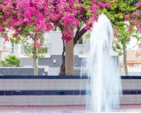 Revente - Apartment - Torrevieja - Estacion de autobuses