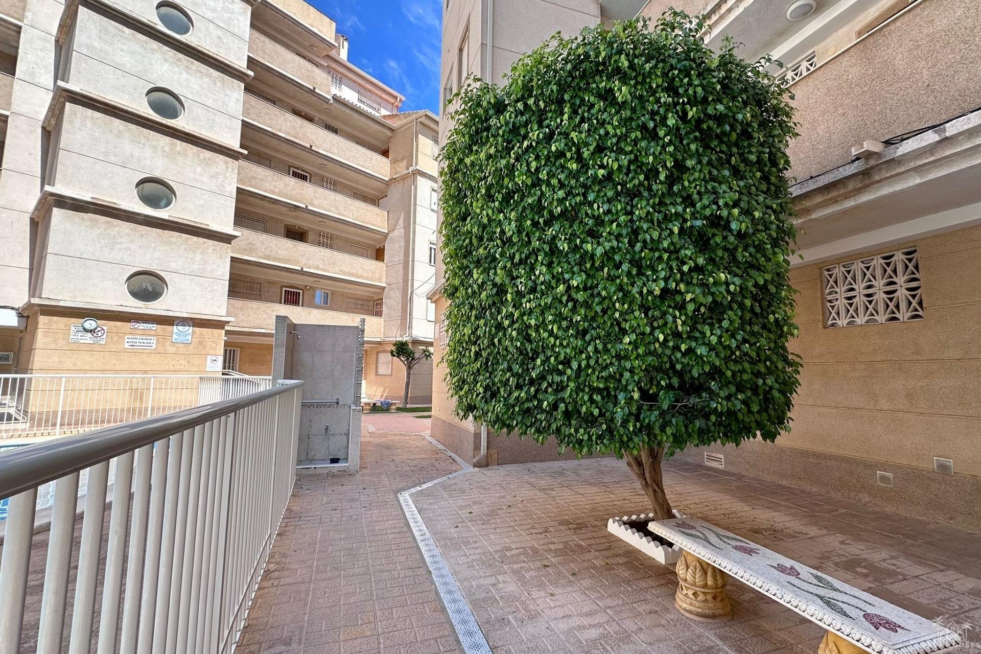 Revente - Apartment - Torrevieja - Habaneras