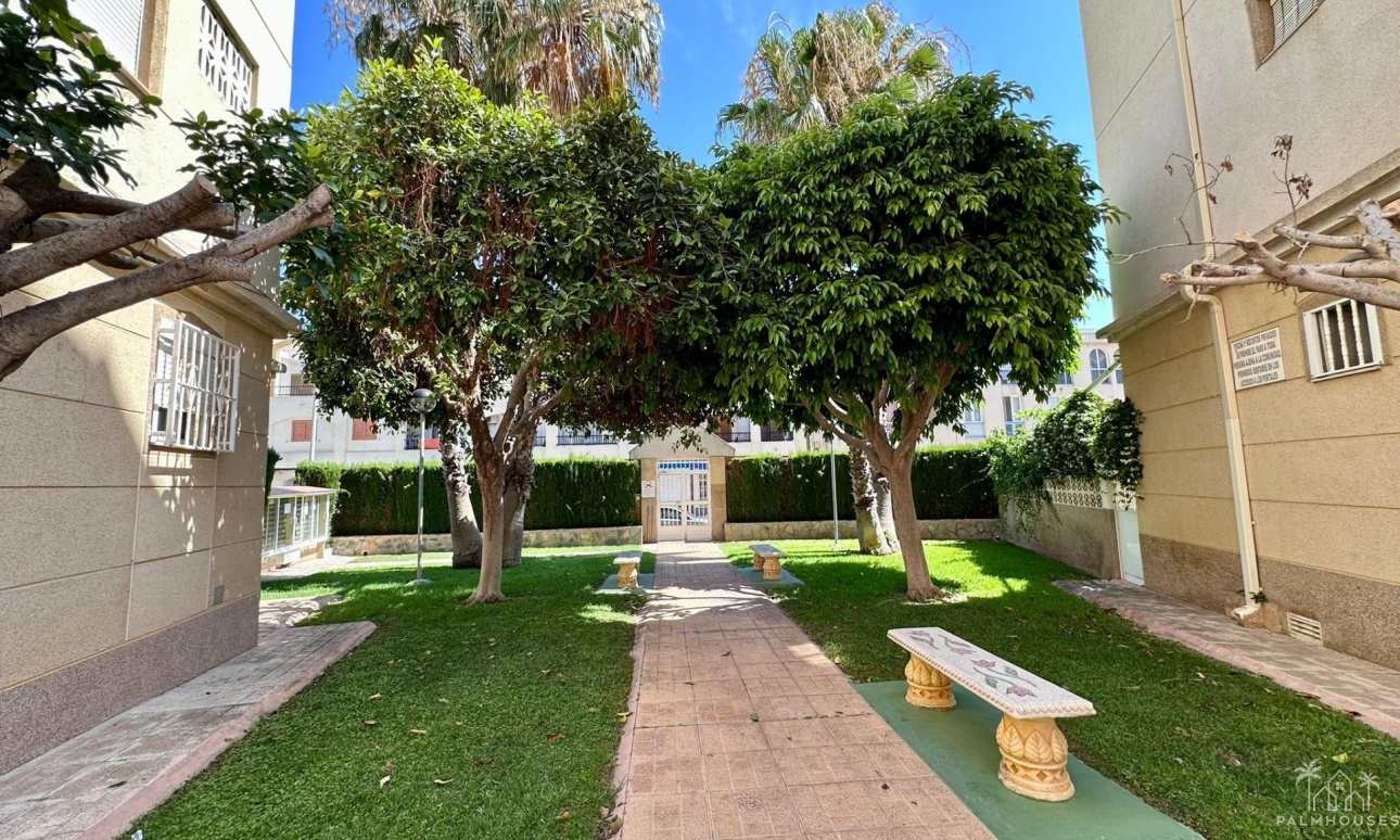 Revente - Apartment - Torrevieja - Habaneras