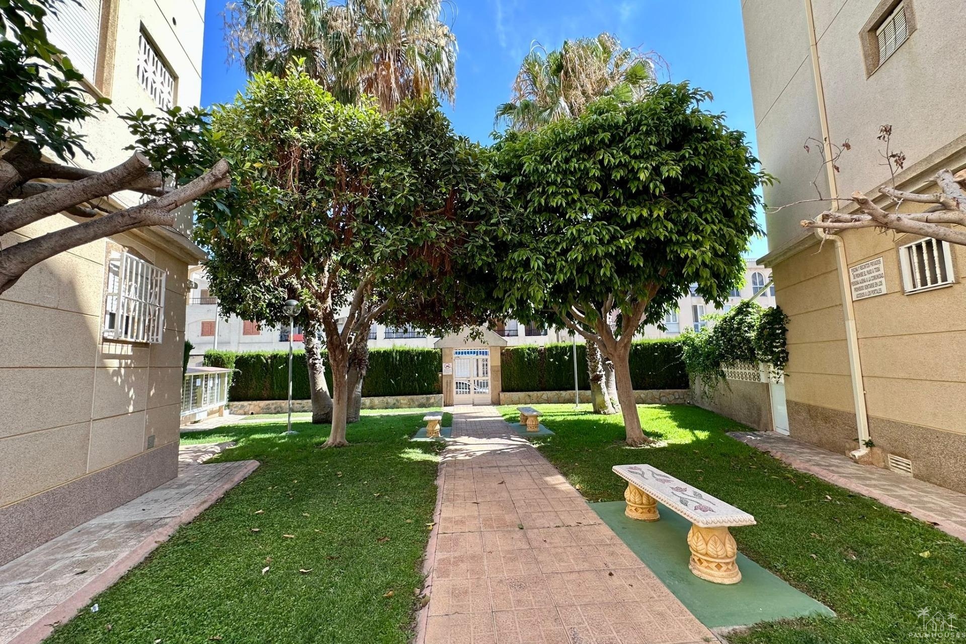 Revente - Apartment - Torrevieja - Habaneras