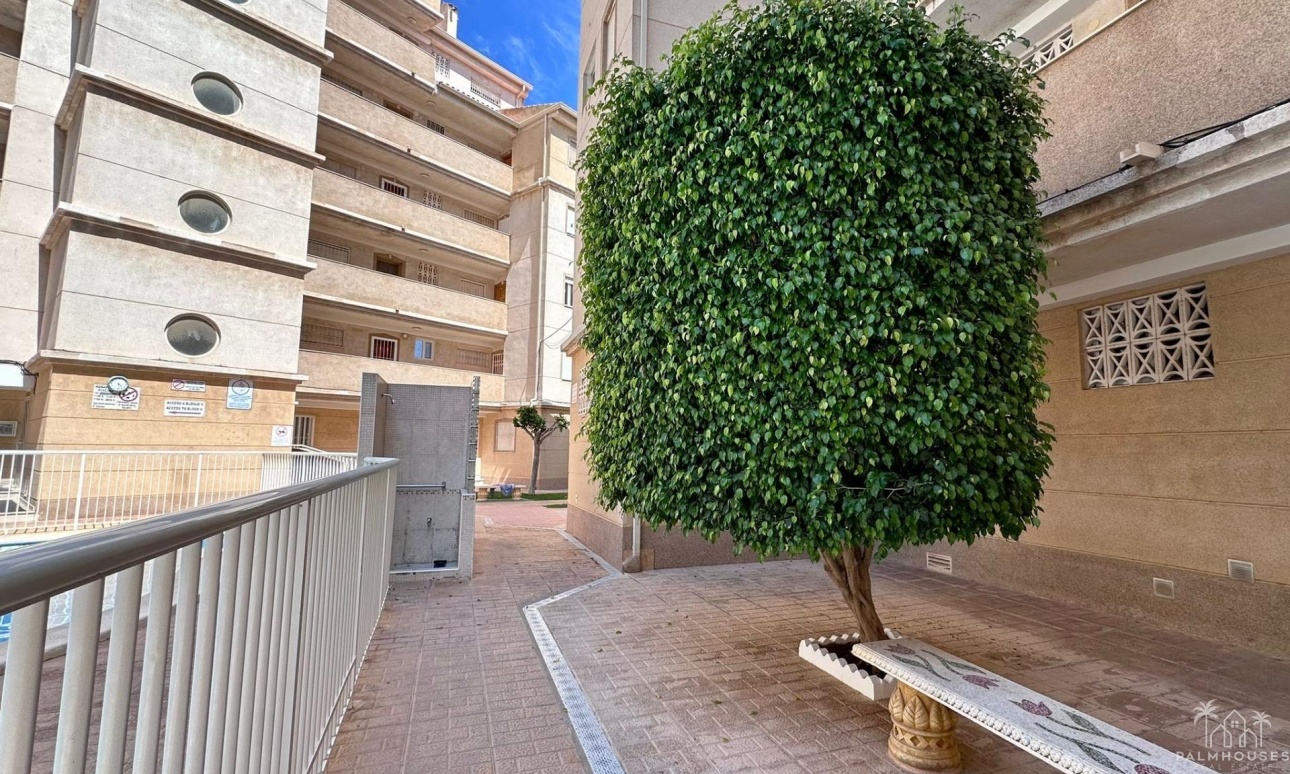 Revente - Apartment - Torrevieja - Habaneras