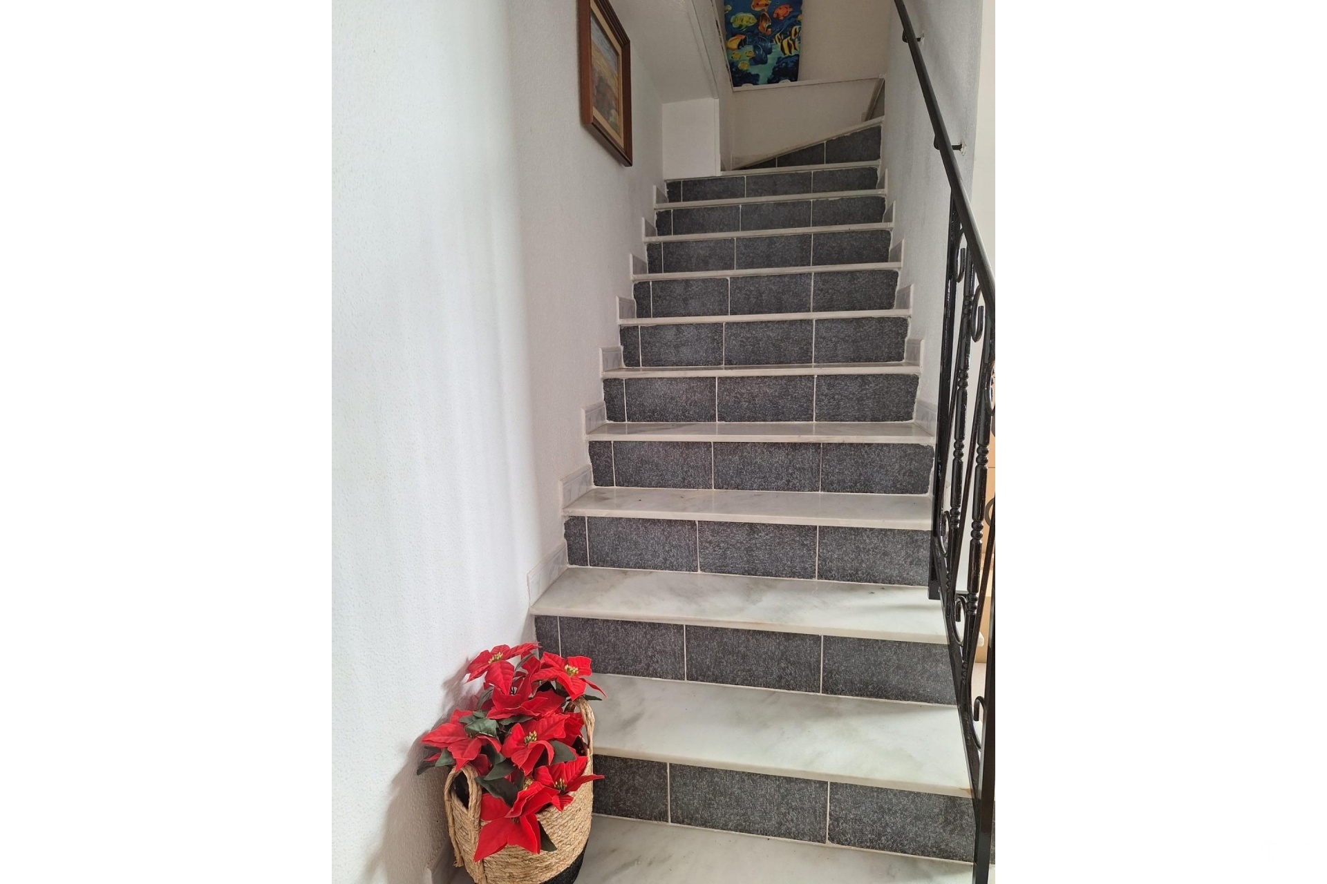 Revente - Apartment - Torrevieja - Habaneras
