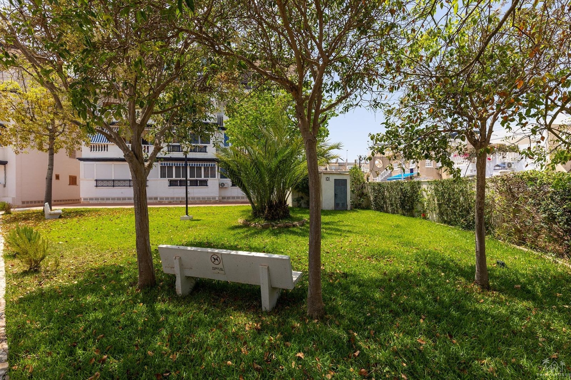 Revente - Apartment - Torrevieja - La Mata