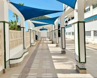 Revente - Apartment - Torrevieja - La Mata