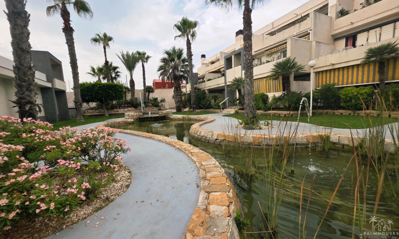 Revente - Apartment - Torrevieja - La Mata