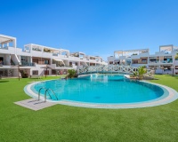 Revente - Apartment - Torrevieja - Los Balcones - Los Altos del Edén