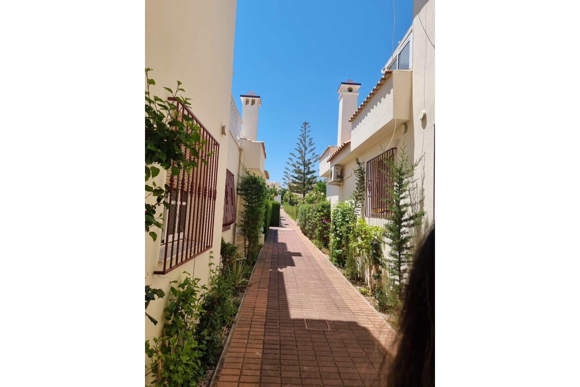 Revente - Apartment - Torrevieja - Los Balcones