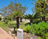 Revente - Apartment - Torrevieja - Los Balcones