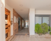Revente - Apartment - Torrevieja - Los Frutales