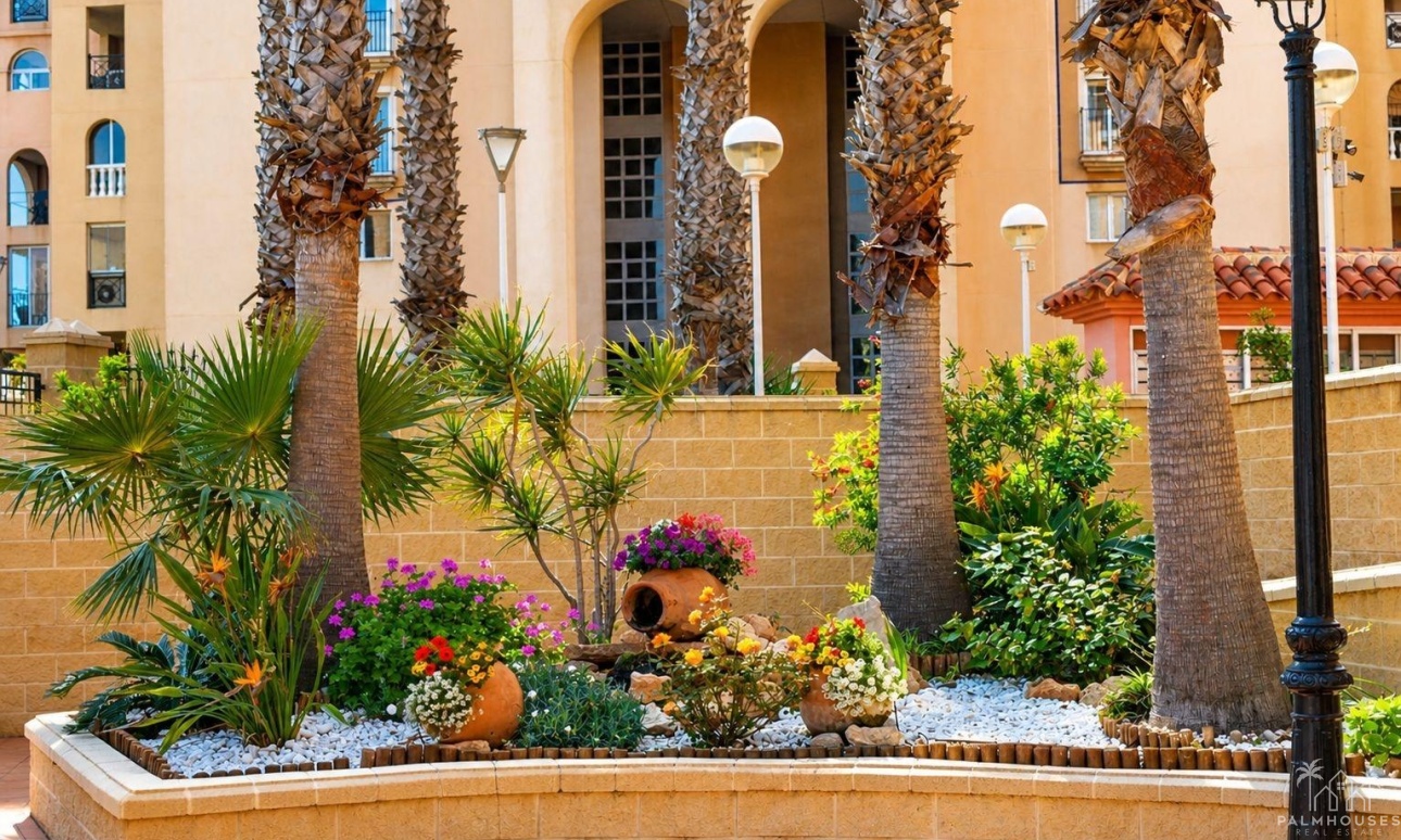 Revente - Apartment - Torrevieja - Los Frutales