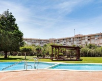 Revente - Apartment - Torrevieja - Parque de las Naciones