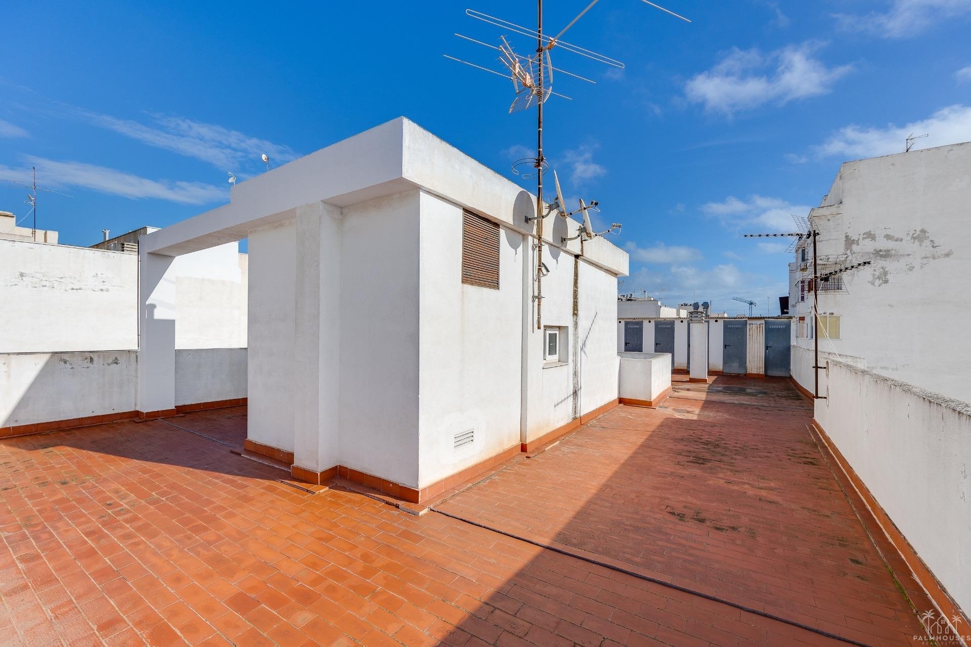Revente - Apartment - Torrevieja - Paseo maritimo