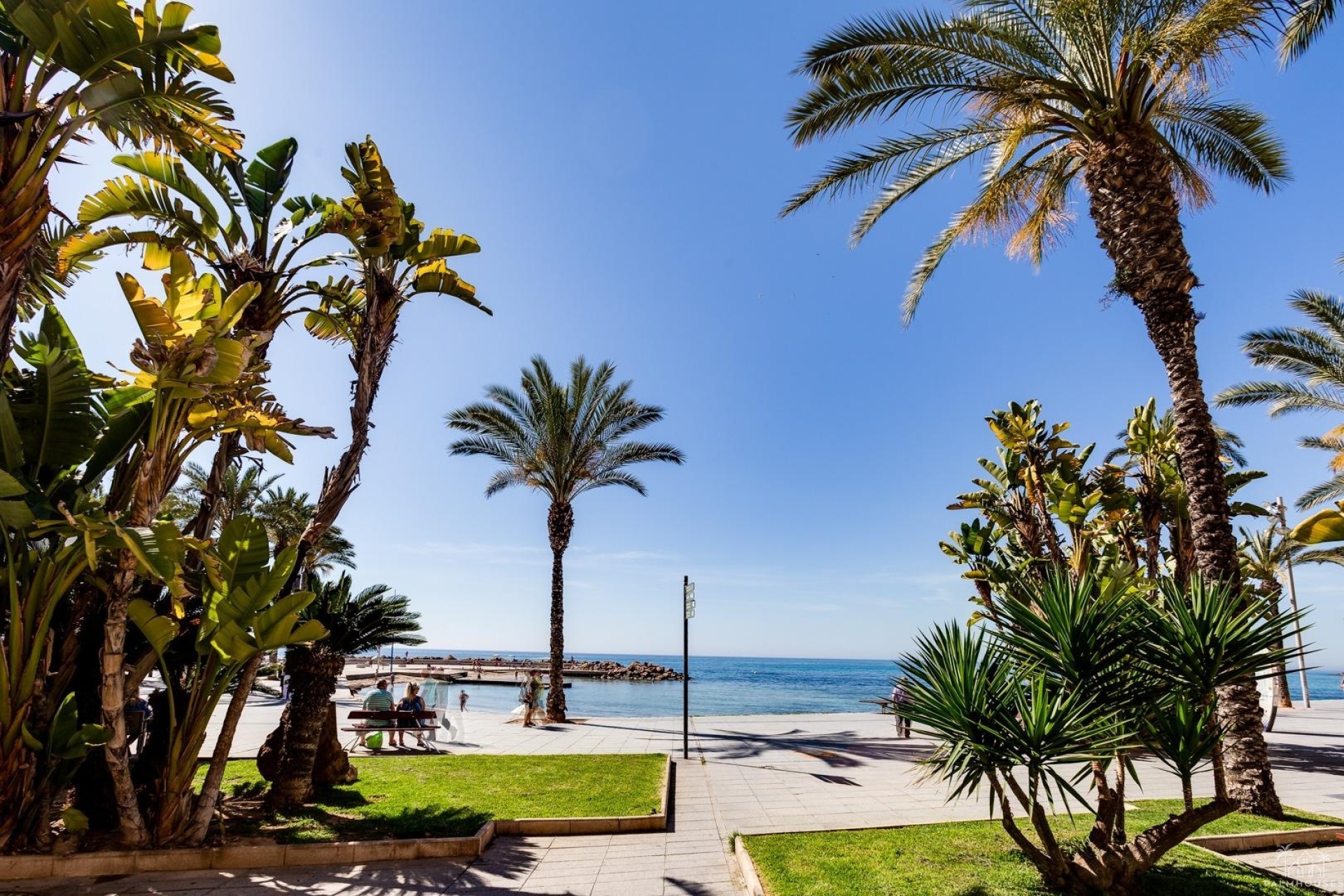 Revente - Apartment - Torrevieja - Paseo maritimo