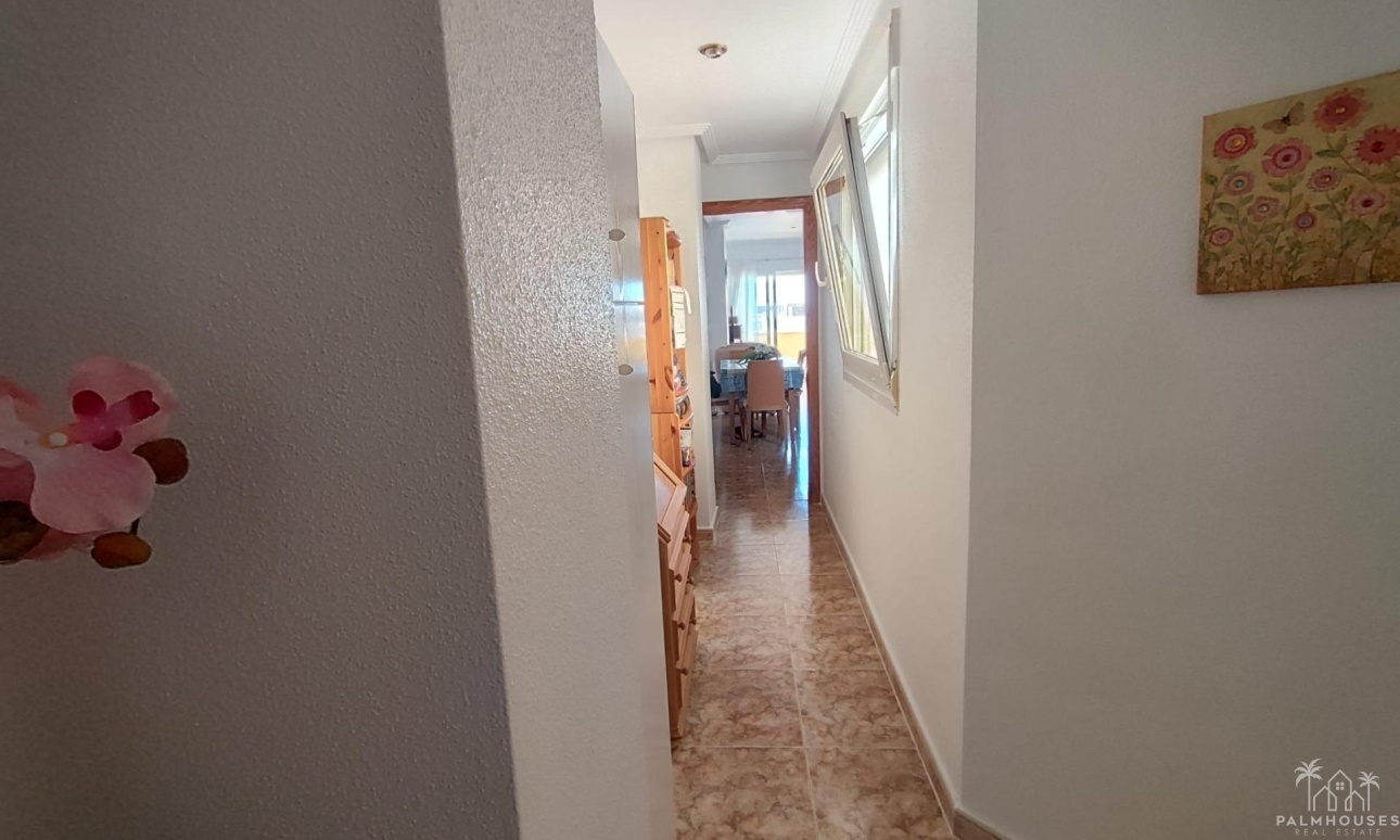 Revente - Apartment - Torrevieja - Paseo maritimo