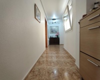 Revente - Apartment - Torrevieja - Paseo maritimo