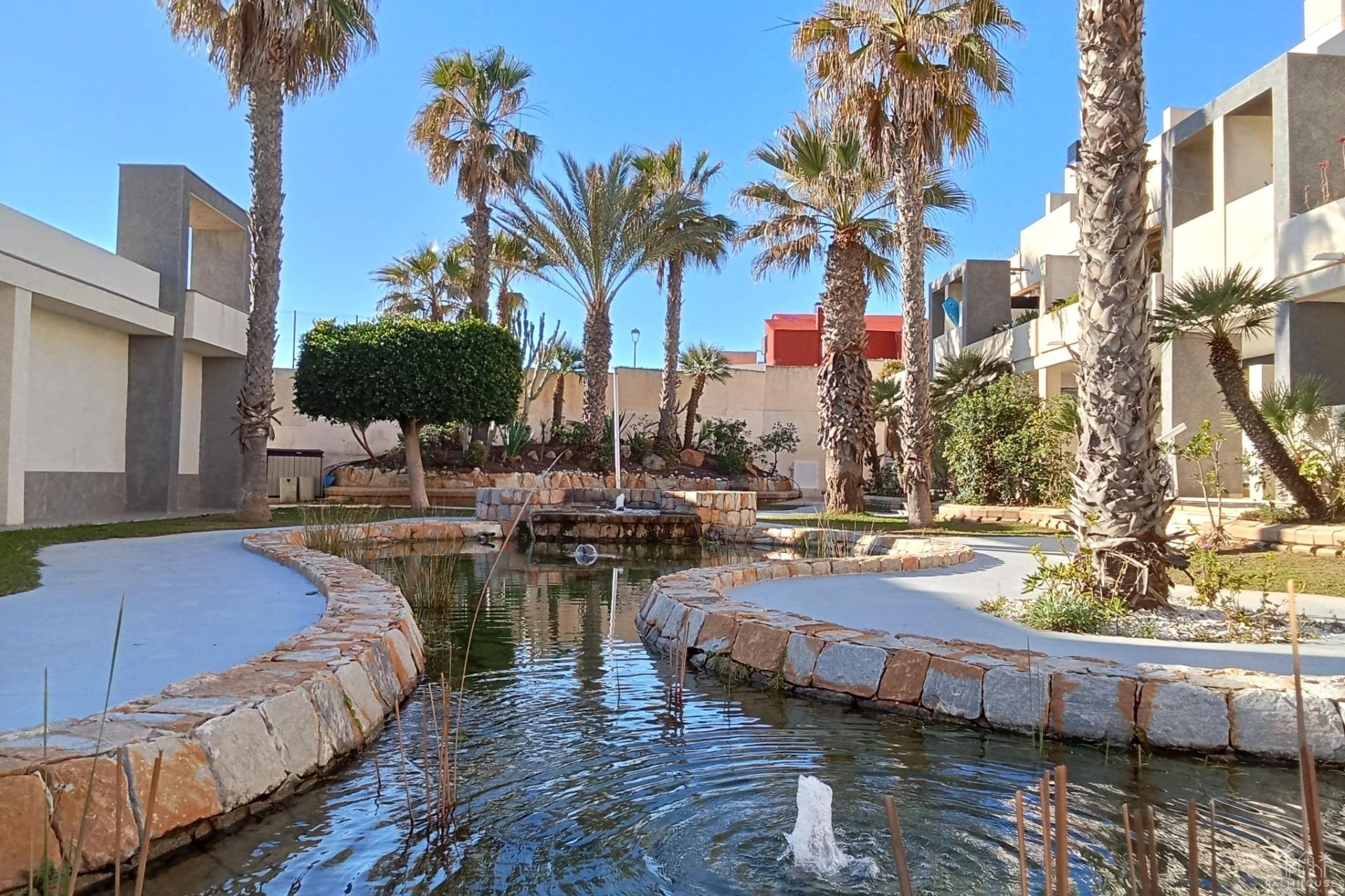Revente - Apartment - Torrevieja - Playa De La Mata