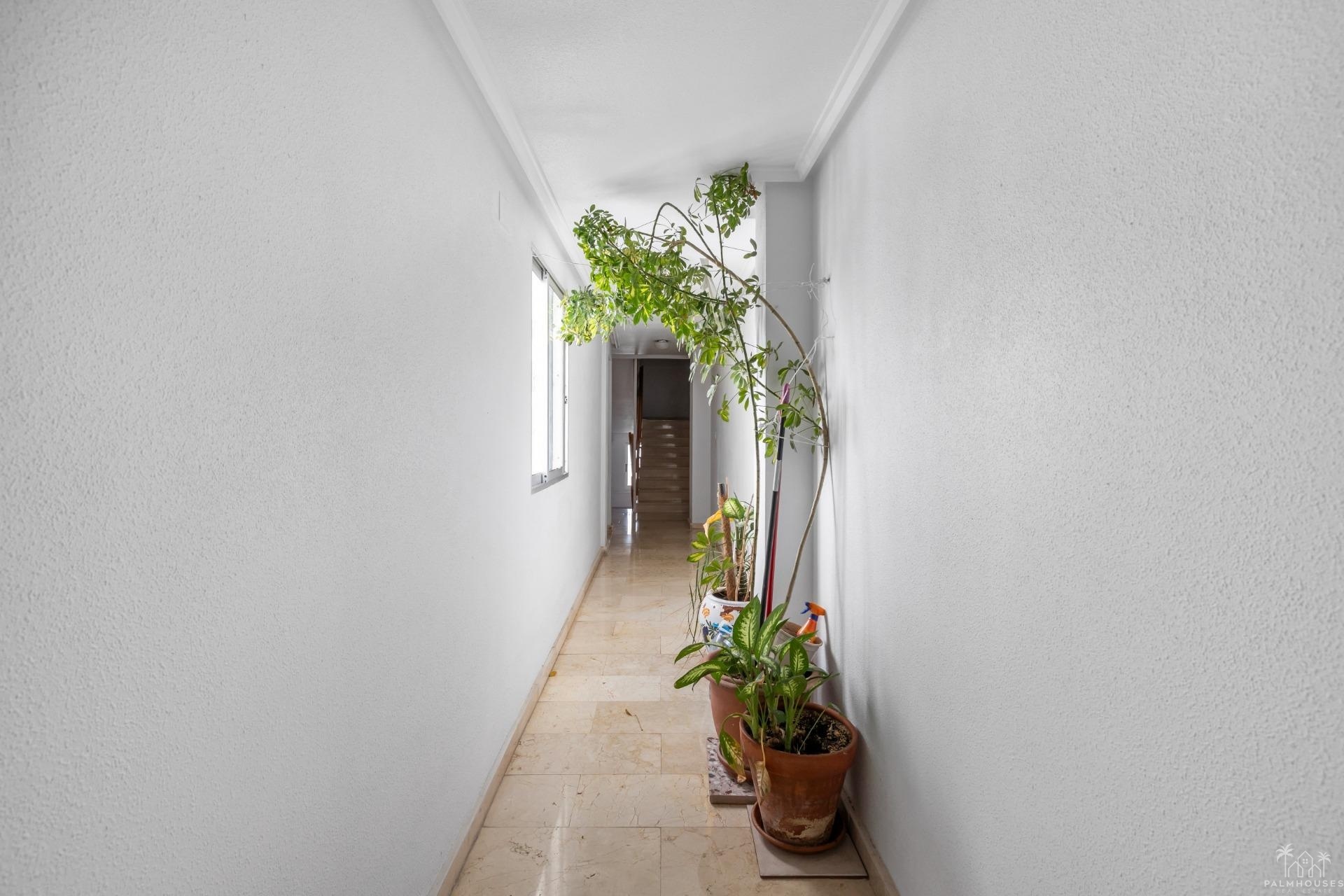 Revente - Apartment - Torrevieja - Playa del cura