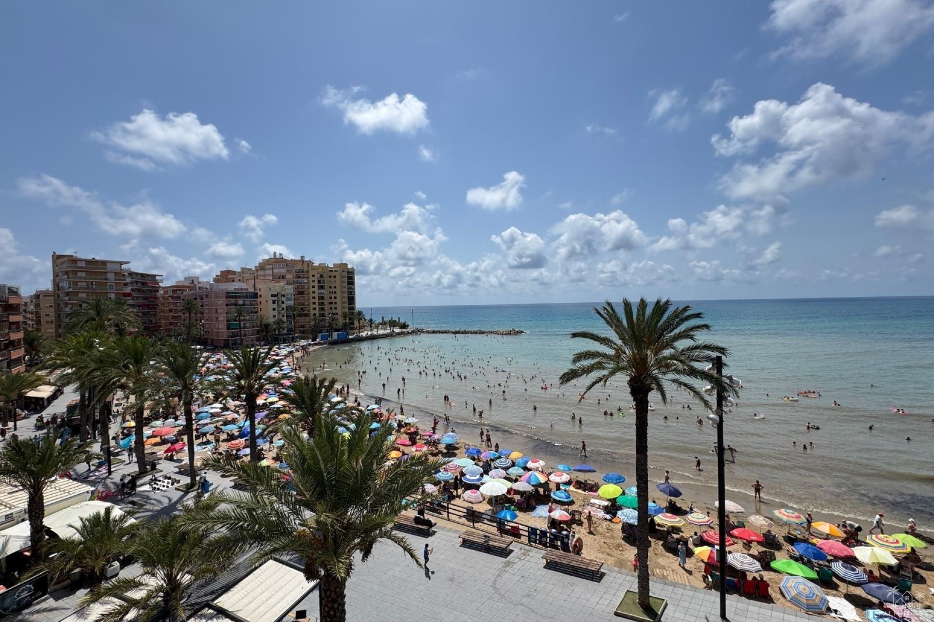 Revente - Apartment - Torrevieja - Playa del cura