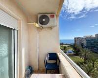 Revente - Apartment - Torrevieja - Playa del cura