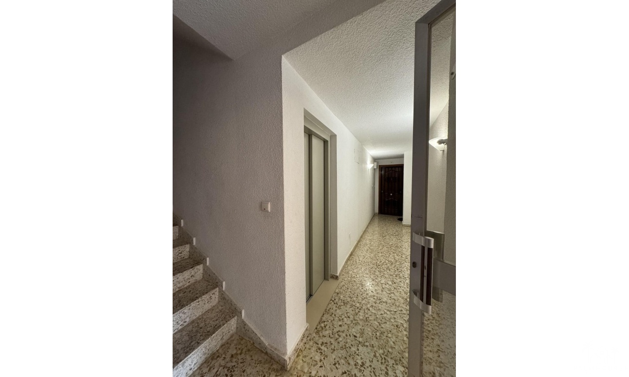 Revente - Apartment - Torrevieja - Playa del cura