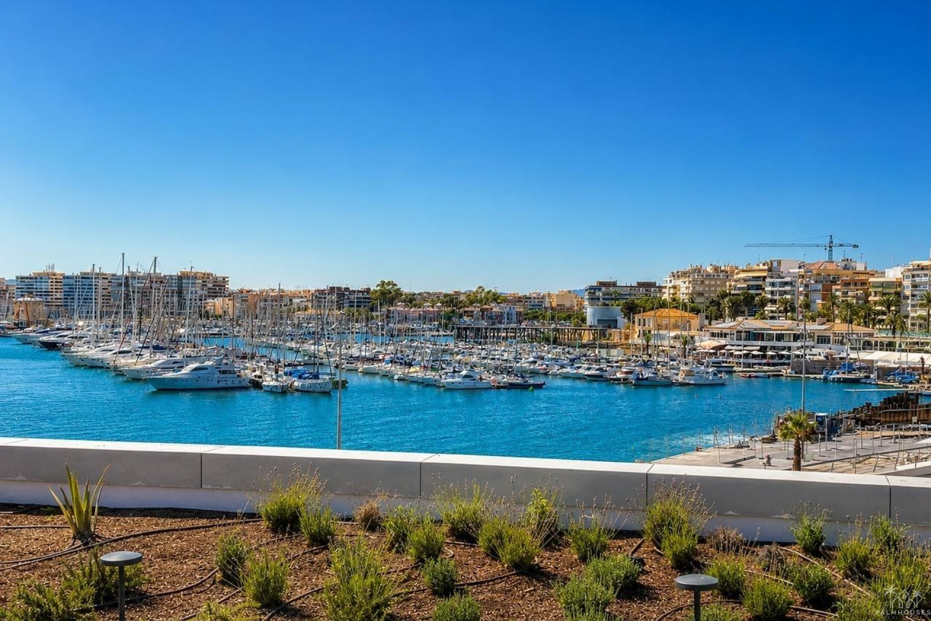 Revente - Apartment - Torrevieja - Playa del cura