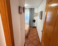 Revente - Apartment - Torrevieja - Playa del cura