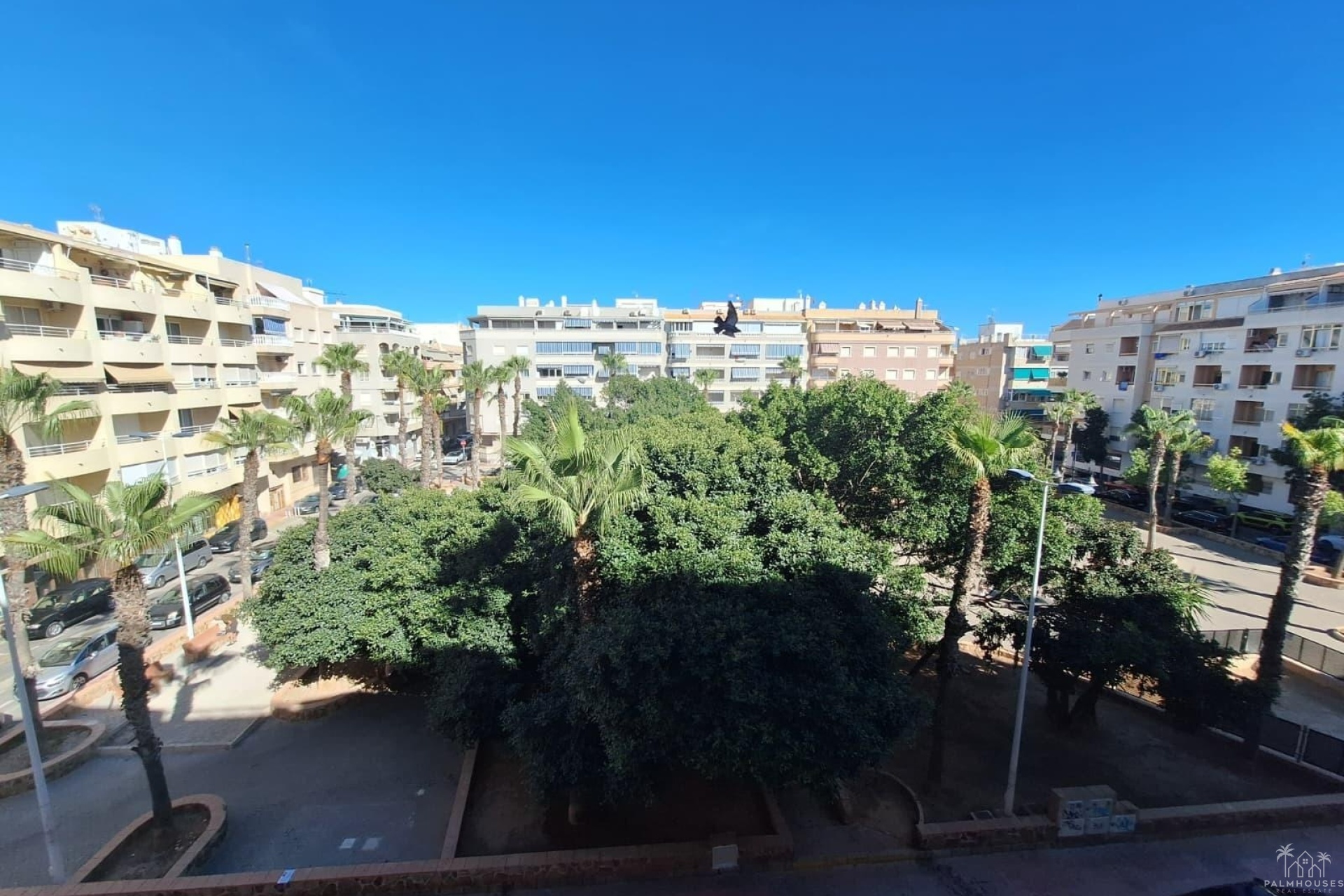 Revente - Apartment - Torrevieja - Playa del cura