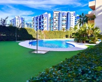Revente - Apartment - Torrevieja - Punta Prima