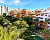 Revente - Apartment - Torrevieja - Punta Prima