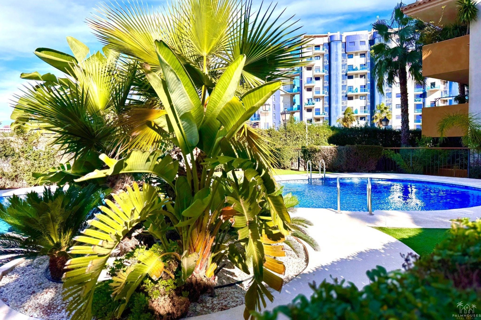 Revente - Apartment - Torrevieja - Punta Prima
