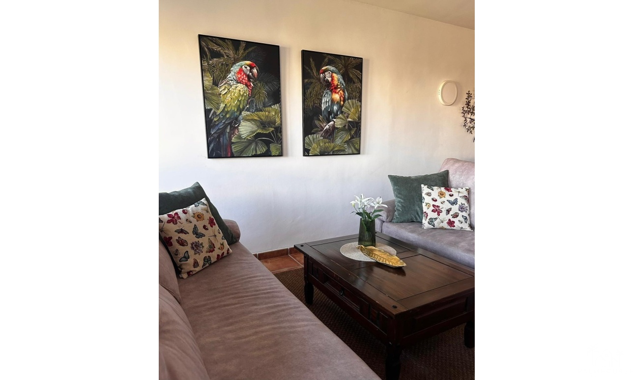 Revente - Apartment - Torrevieja - Punta Prima