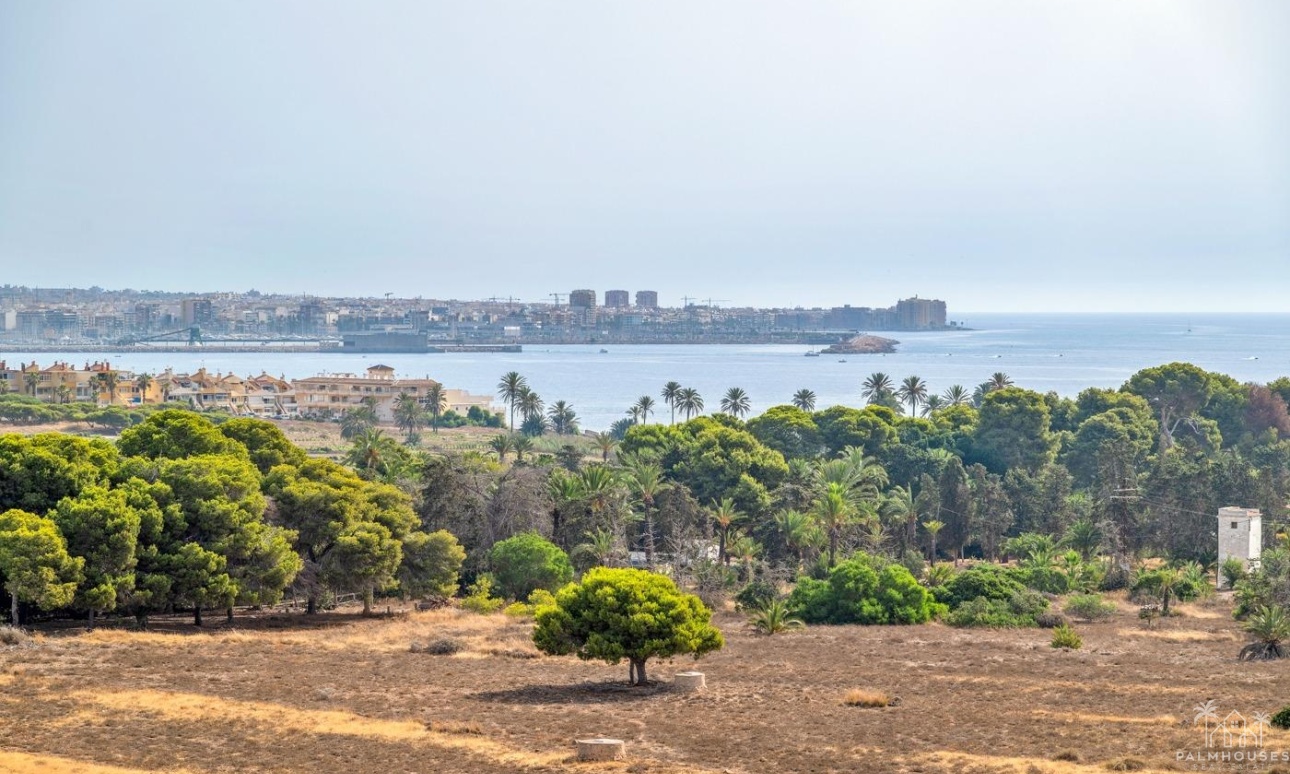 Revente - Apartment - Torrevieja - Punta Prima