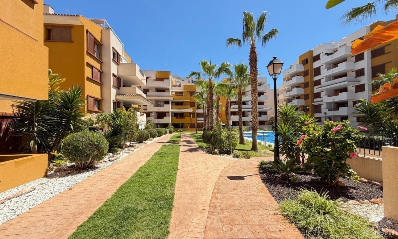 Revente - Apartment - Torrevieja - Punta Prima