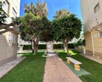 Revente - Apartment - Torrevieja - Torrevieja Centro