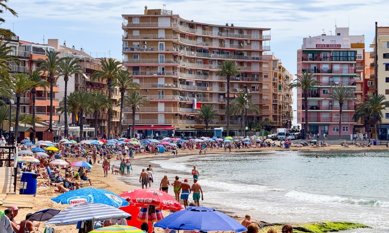 Revente - Apartment - Torrevieja - Torrevieja Centro
