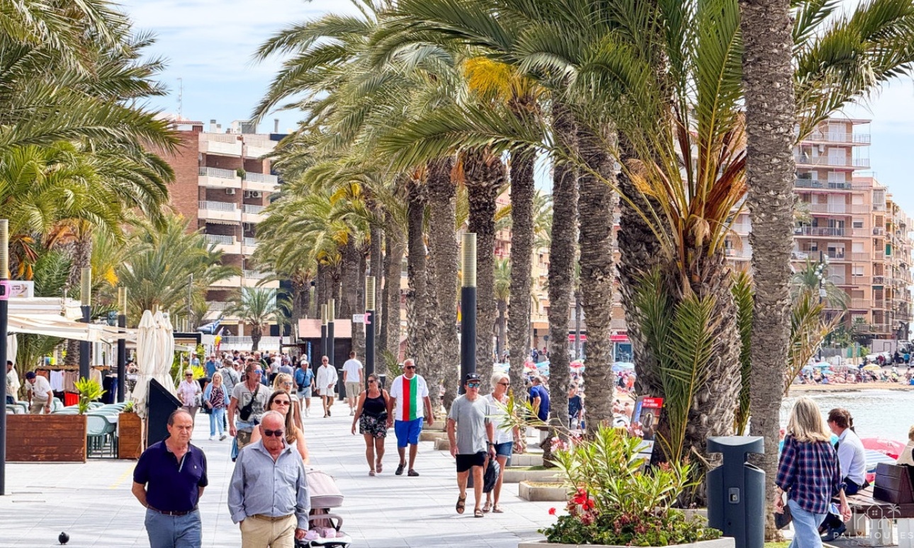 Revente - Apartment - Torrevieja - Torrevieja Centro