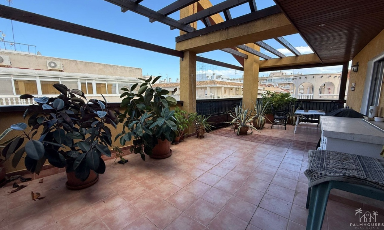Revente - Apartment - Torrevieja - Torrevieja Centro